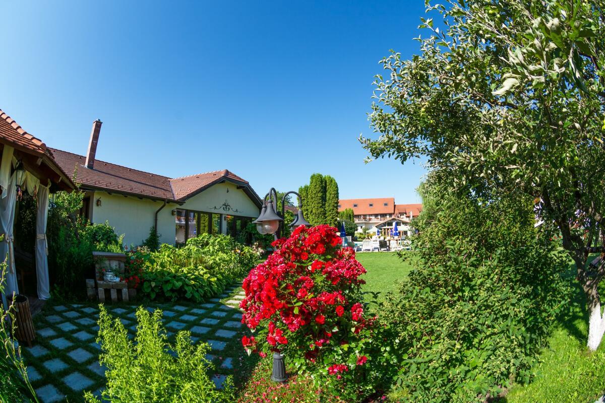 Gradina si terasa 1